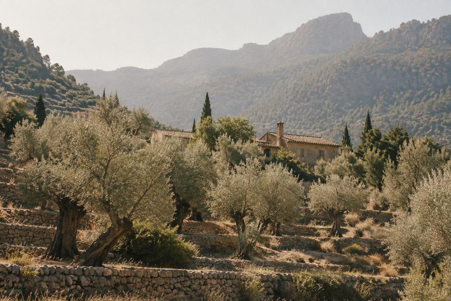 Lansman House Mallorca
